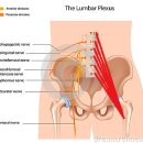 동화한의원 이미지