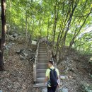 26.7. 26 안내 산행 울산 (가지산1241m) 이미지