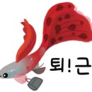 물멍물멍 이미지