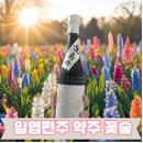 전통주 일엽편주 꽃술 약주 후기 선물용으로 추천