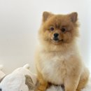 아우어패밀리 이미지