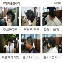 타마루헤어 이미지