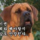 [속보]허위사실 유포' 전한길 구속영장 기각 이미지
