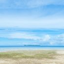 바다정원 이미지