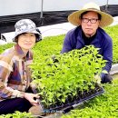 왕인농장 이미지