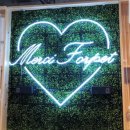 pit a pet (핏어펫) 이미지