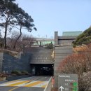 포레스트리솜 | 충북 제천 포레스트리솜 이용후기