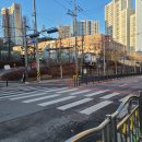 이루리태권도장 이미지