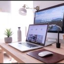 시선이 머무는 곳 이미지