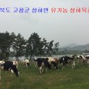 도봉목장 이미지