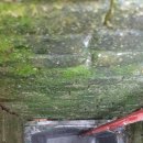 선수촌로 이미지