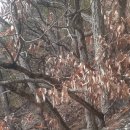 박진옥농장 이미지