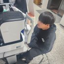 안경나래 이미지