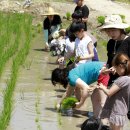 따오기품은 세진마을 이미지