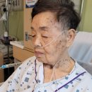 세인요양병원 이미지