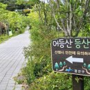 광산진미 | 광주여대 출발 어등산 전망대까지 봄꽃향기 가득이네