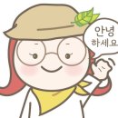 진안 국제 캠핑장 이미지