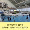 평창 휘닉스파크 워터파크 블루캐니언과 오렌지동 숙박후기 할인 꿀팁까지 총정리!