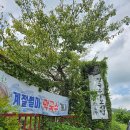 면도장 | 부산 기장 면도장 보리밥과 강된장 후기