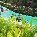 스파밸리 이미지