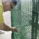 매화골향기 이미지