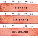 고지혈증 및 관리 이미지