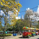 하르딘(Jardin) 이미지