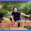 정원공부방