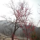 학산면사무소 이미지