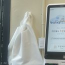 삼파목
