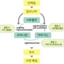 동대구약국 - 북구 대현로 91 | 동대구약국