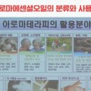 고전문학, 세계사와 함께 읽기 이미지