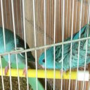 연제구-017 이미지