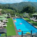 오늘하루 애견 동반 스파펜션 이미지