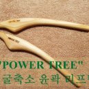 트리에스테틱