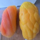 서구치매안심센터(6) | [광주●서구체력인증센터]​느리지만 단단하게, 슬로우조깅단 첫걸음/체력 측정부터 치매 검사까지/2026.2.26