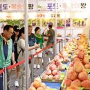 평화과일상회