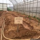 현민농장 이미지