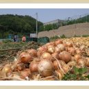 월문5리 이미지