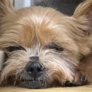 진이와보리의하루 이미지