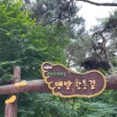 영광물산 | 영광 아기랑 함께 물무산 맨발황톳길 방문 후기