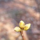 유유자적 이미지