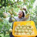 시목농장 이미지