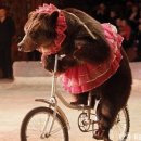 올리 이미지