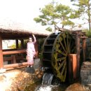 벌교생태공원 이미지