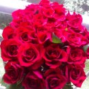 수원-0662 이미지