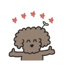 마동-39 이미지
