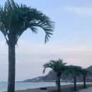 데이토나풀빌라 이미지