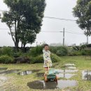 볼레낭집 이미지