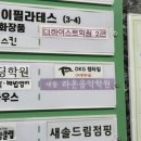 파충류샵 렙타일스테이션 | 새솔동파충류샵 DKG렙타일(디케이지렙타일) 분양후기